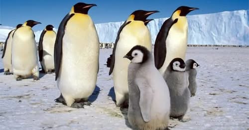 The Future of Artificial Intelligence in Everyday Life